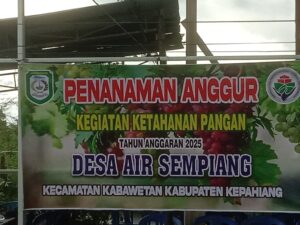 IMG-20250604-WA0027